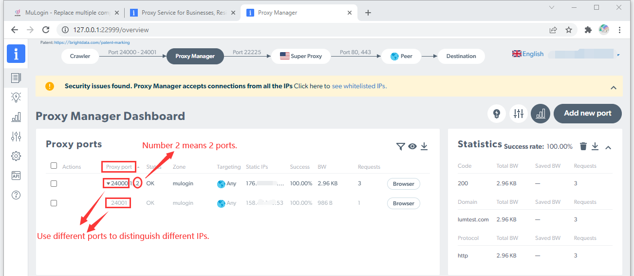 Proxy-Manager-Dashboard mit zwei aktiven Proxy-Ports.
