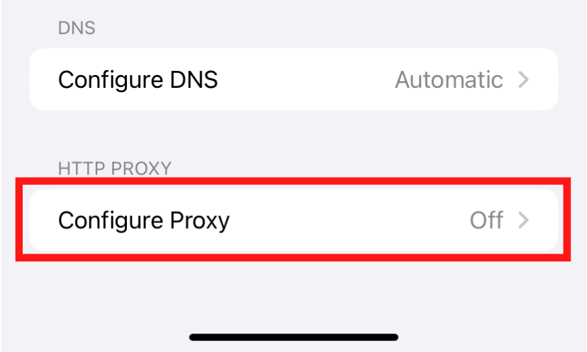 Bildschirm „DNS konfigurieren“ und „Proxy-Einstellungen konfigurieren“.