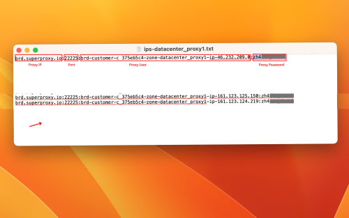 Text file screenshot showing proxy server details.