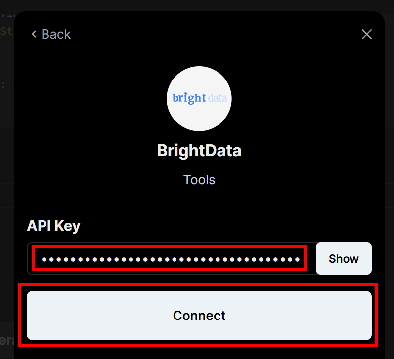 Fügen Sie Ihren Bright Data-API-Schlüssel ein und drücken Sie auf "Verbinden".
