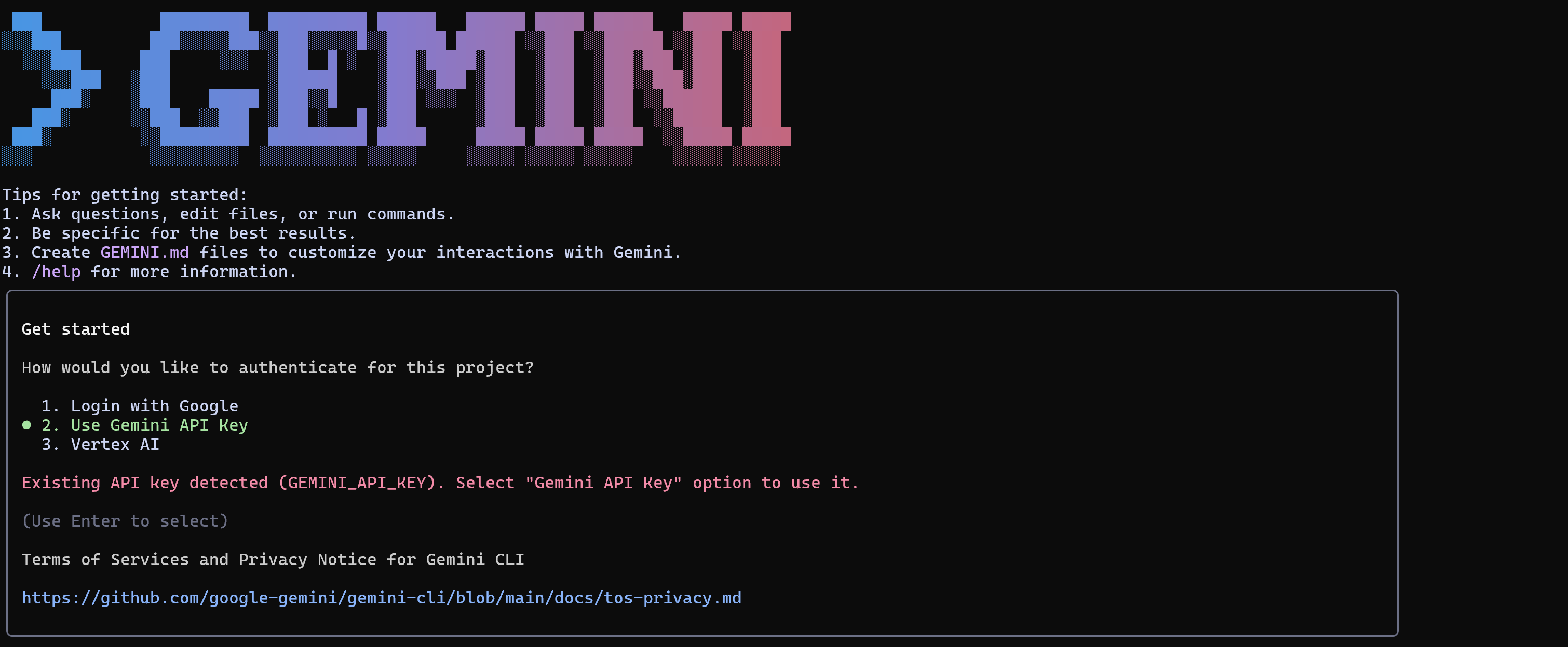 Die Ansicht der Gemini-CLI-Authentifizierung