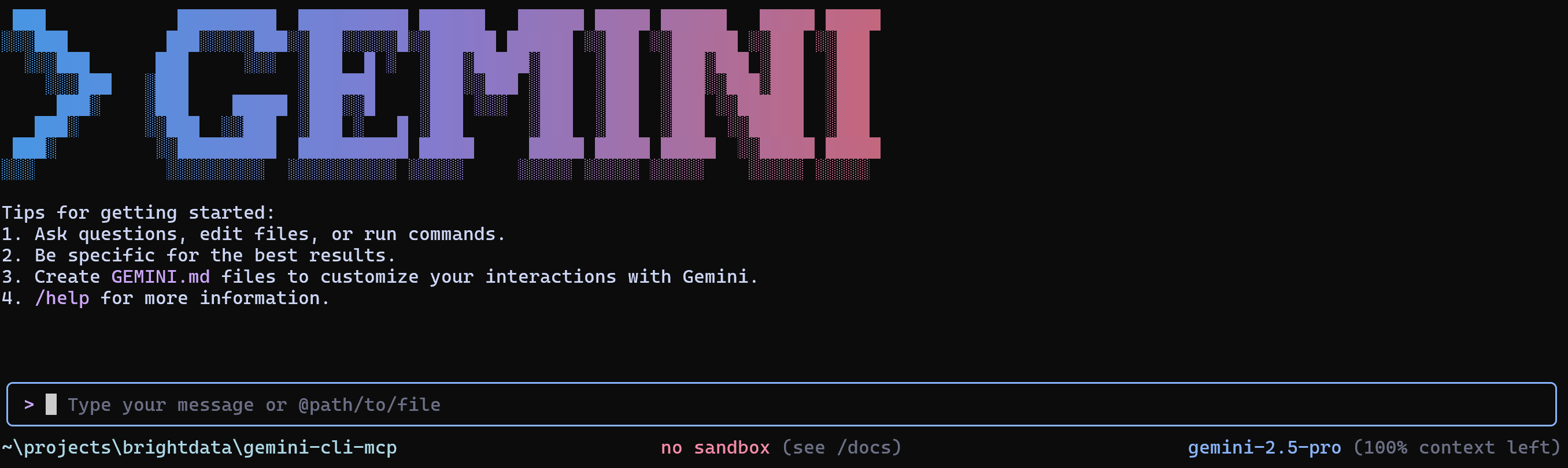 Die Ansicht der Gemini-CLI-Eingabeaufforderung