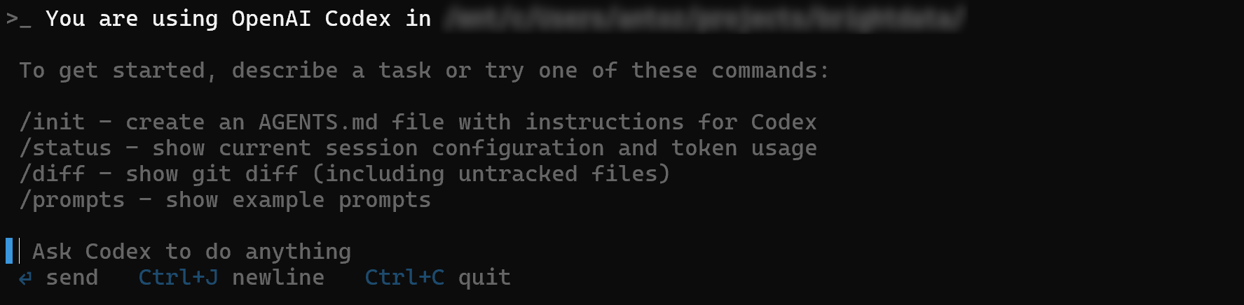 Die Ansicht der OpenAI Codex CLI Eingabeaufforderung