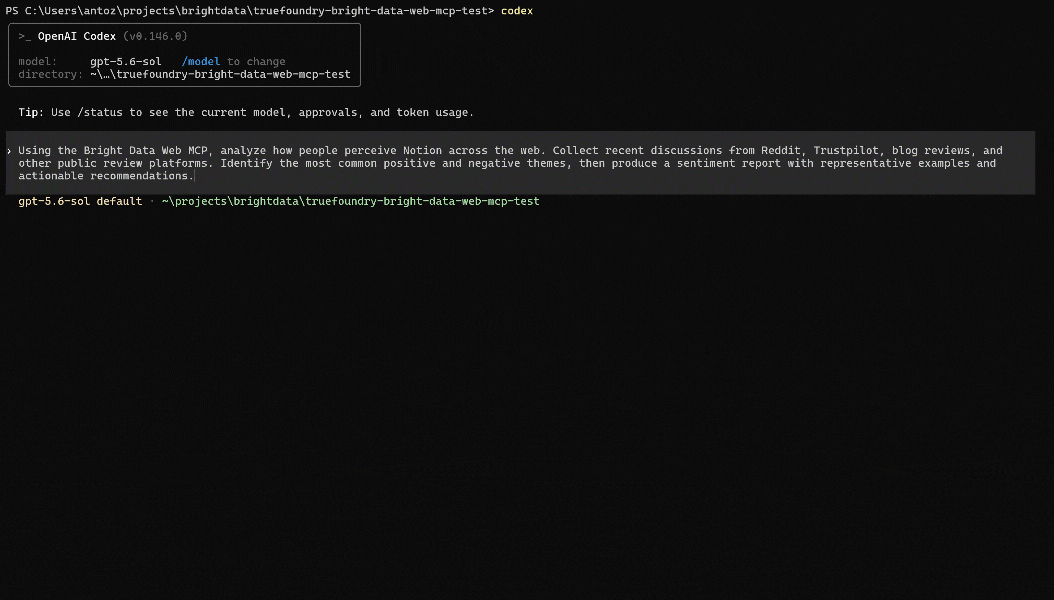 Prompt-Ausführung in OpenAI Codex CLI